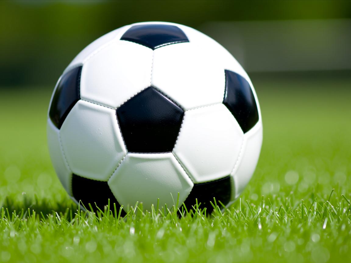 米兰体育联赛-中美蝶泳转身前滑行长度对比图出炉，蝶泳划臂路线  第3张